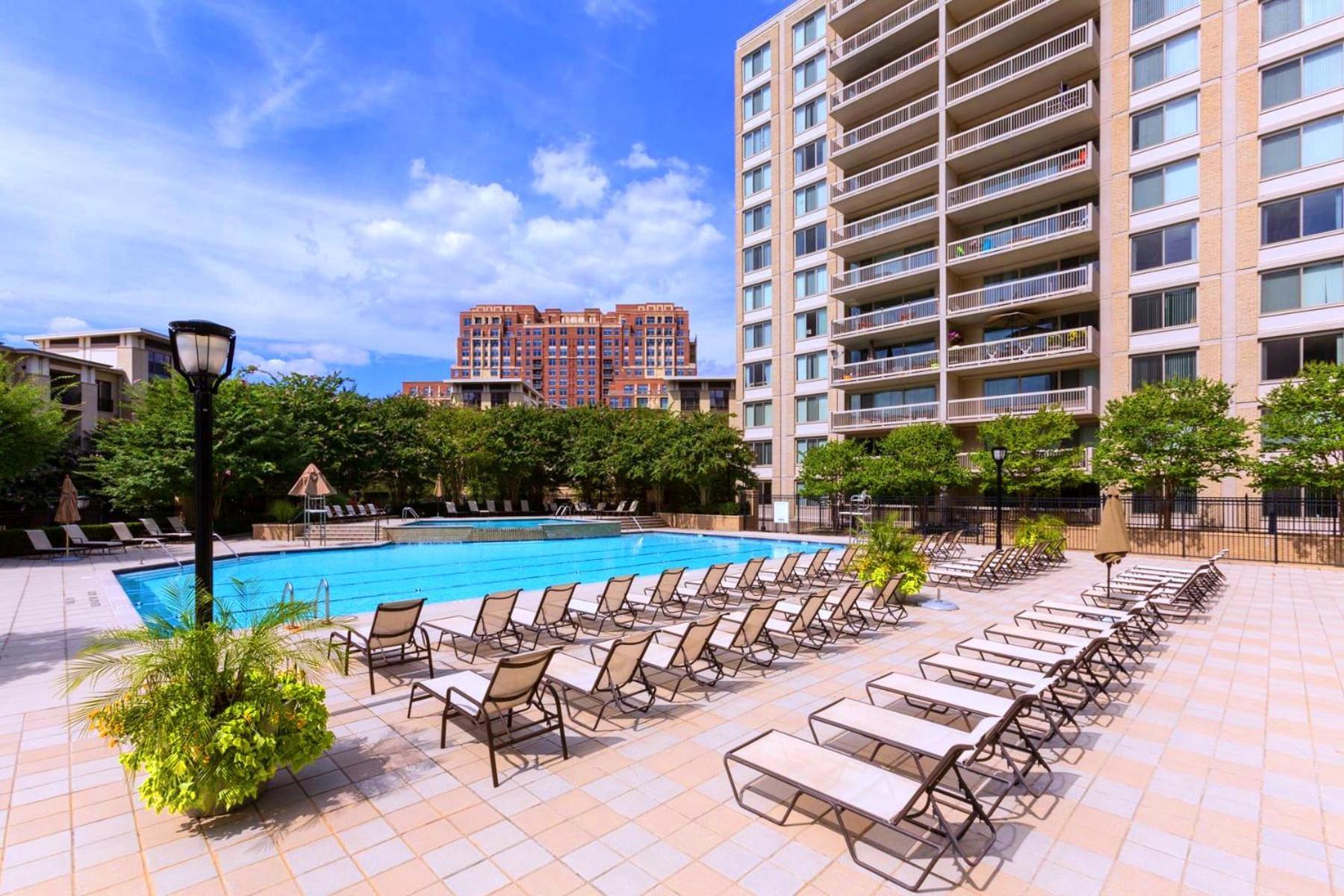 ארלינגטון Spacious 2 Bedrooms Apt @Crystal City With Gym מראה חיצוני תמונה